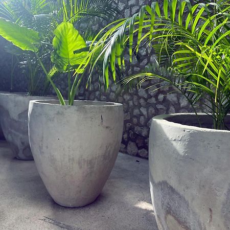 ホテル Bau トゥルム エクステリア 写真